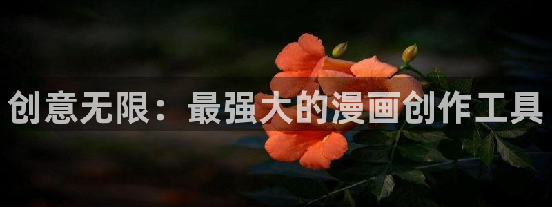 51漫画18禁：创意无限：最强大的漫画创作工具