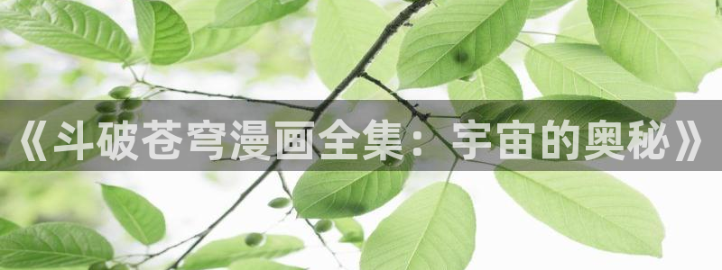 51漫画安卓软件下载：《斗破苍穹漫画全集：宇宙的奥秘》