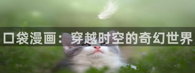 51漫画我的妈妈：口袋漫画：穿越时空的奇幻世界