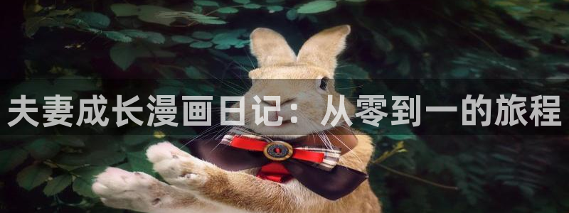 半糖次元51漫画：夫妻成长漫画日记：从零到一的旅程