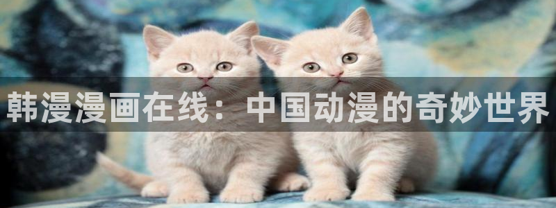 51漫画社：韩漫漫画在线：中国动漫的奇妙世界