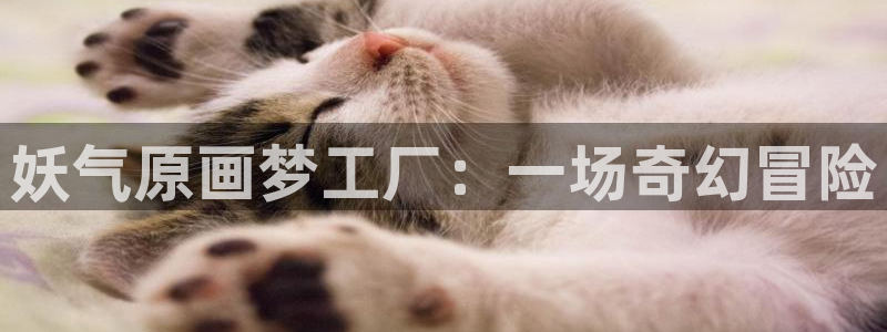 51漫画哪里下载：妖气原画梦工厂：一场奇幻冒险