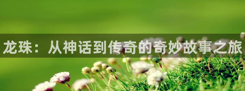 51漫画(破解版)：龙珠：从神话到传奇的奇妙故事之旅