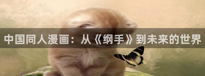 51漫画下：中国同人漫画：从《纲手》到未来的世界